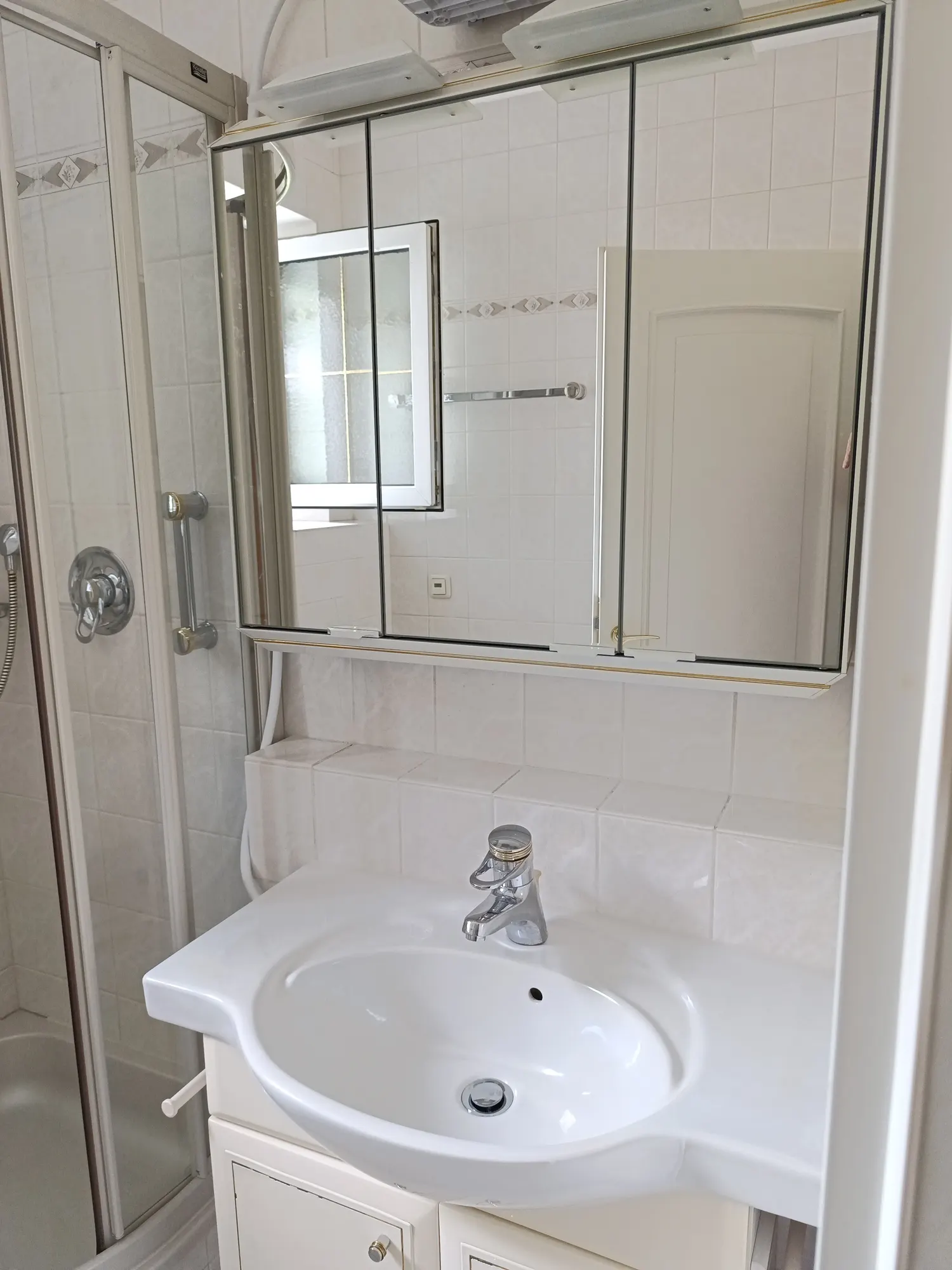 Duschbad mit Spiegelschrank