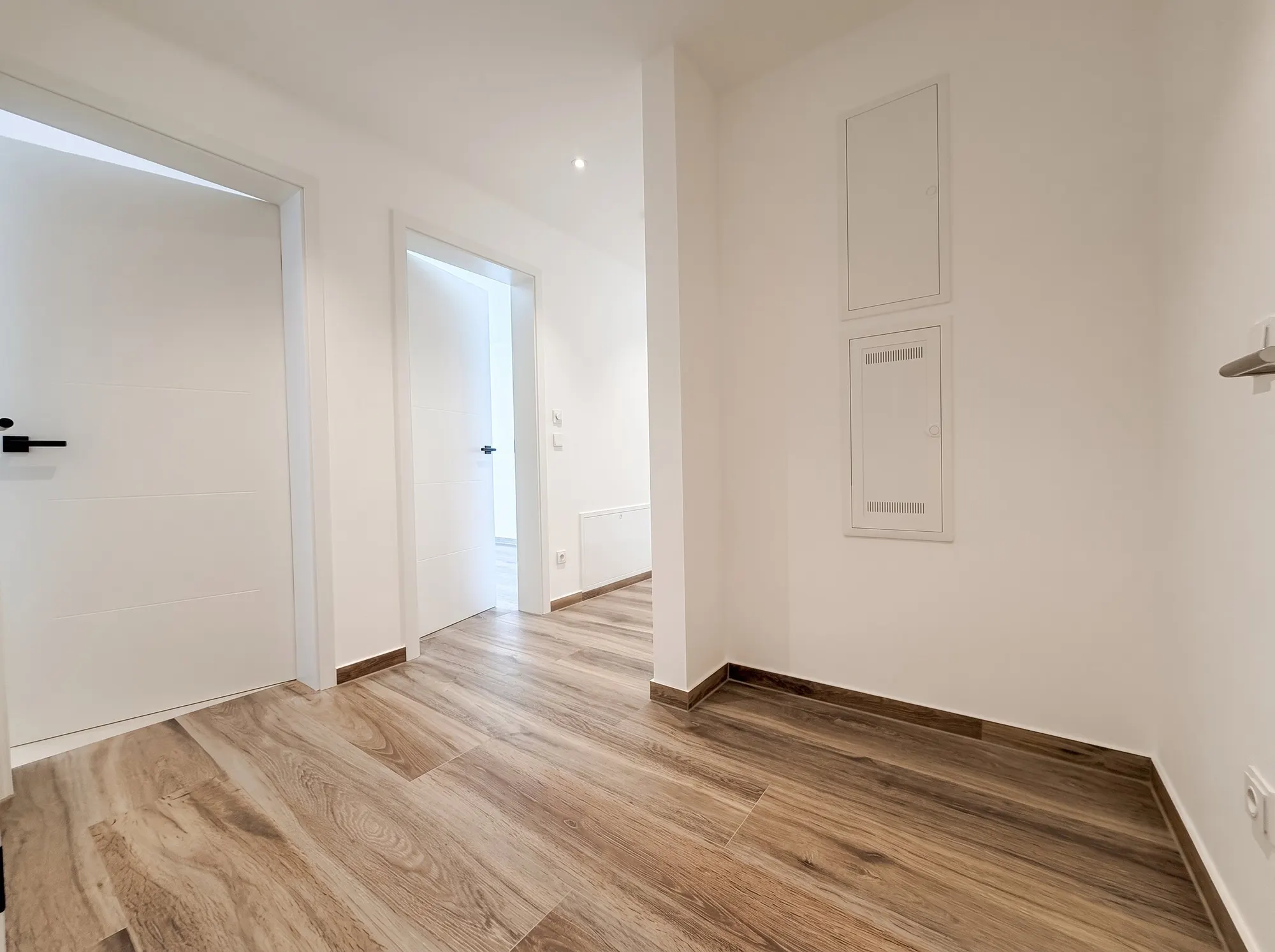 Diele mit Zählerschrank